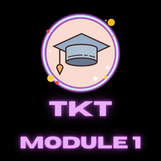 TKT Module 1 — Stepik