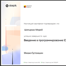 Обложка курса «Курс по спортивному программированию для учащихся Толеби Дарын» на Stepik