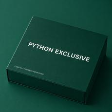 Обложка курса «Python Exclusive» на Stepik