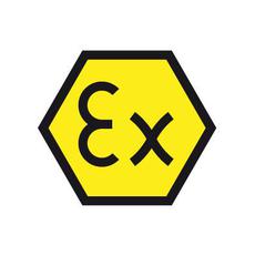 Обложка курса «EXpertise in Ex equipment and hazardous areas» на Stepik