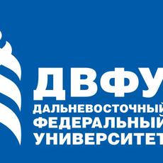 Обложка курса «Школьная математика ДВФУ» на Stepik