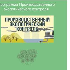 Обложка курса «Как выполнить Программу ПЭК» на Stepik