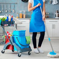 Обложка курса «Что такое клининг? » на Stepik