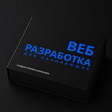 Обложка курса «Веб-разработка для начинающих» на Stepik