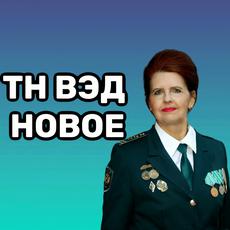 Обложка курса «Классификация товаров по ТН ВЭД, текущие тренды.» на Stepik