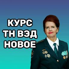 Обложка курса «Классификация товаров по ТН ВЭД, текущие тренды.» на Stepik