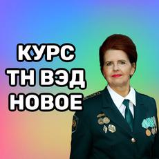 Обложка курса «Классификация товаров по ТН ВЭД, текущие тренды.» на Stepik