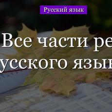 Обложка курса «Русский язык. Части речи.» на Stepik