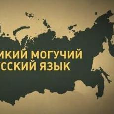 Обложка курса «ЕГЭ русский» на Stepik