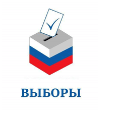 Обложка курса «"Я-доброволец!" обучение тех, кто помогает во время выборов» на Stepik