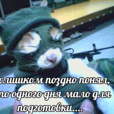 Обложка курса «Полина Инф» на Stepik