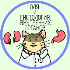 Обложка курса «Гистология внутренних органов» на Stepik