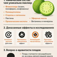 Обложка курса «Маклюра, самый полный курс. Как сделать мази, настойки, масло» на Stepik