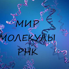 Обложка курса «МИР МОЛЕКУЛЫ РНК» на Stepik