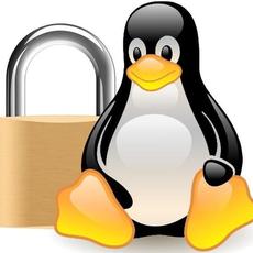 Обложка курса «Безопасный Linux. Пуленепробиваемый пингвин. Linux hardening.» на Stepik