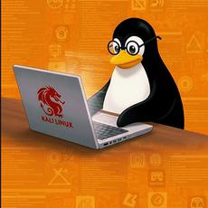 Обложка курса «user_new 🐧KALI LINUX — Клавишный ДРАЙВ на максимум. ПРАКТИКА🐧» на Stepik