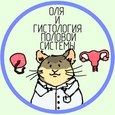 Обложка курса «Гистология половой системы и эмбриональное развитие человека» на Stepik