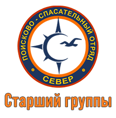 Обложка курса «Курс четвертый: Старший поисковой группы» на Stepik