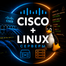 Обложка курса «Сети и серверы: Linux, Cisco, BASH-скрипты и SSH.» на Stepik