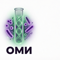 Обложка курса «ОМИ » на Stepik