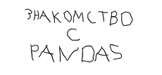 Обложка курса «Знакомство с Pandas» на Stepik