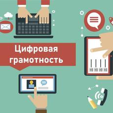 Обложка курса «Основы цифровой грамотности» на Stepik