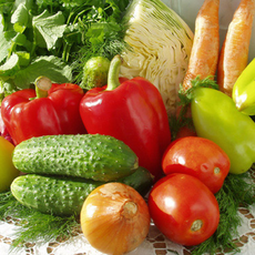 Обложка курса «Ветеринарно-санитарная экспертиза растительных продуктов» на Stepik