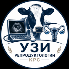 Обложка курса «Ультразвуковая диагностика репродуктивной системы КРС» на Stepik