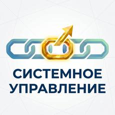 Обложка курса «Системный менеджмент: как найти прибыль» на Stepik