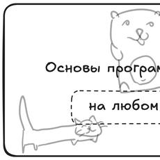 Обложка курса «Основы программирования на любом языке» на Stepik