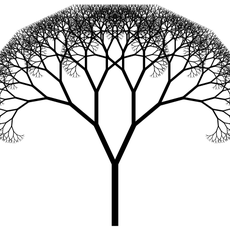 Обложка курса «Фрактальное дерево на Python + Pygame 🌳» на Stepik