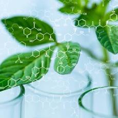 Обложка курса «THE BASICS OF BIO-INNOVATION IN ENGLISH» на Stepik