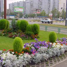 Обложка курса «Фитодизайн и уличное озеленение» на Stepik