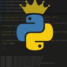 Обложка курса «Программирование на Python: курс для новичков» на Stepik