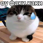 Дарина бездельница
