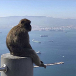 Диана