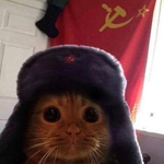 Иван Аникеев