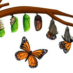 Аватар Gunai Abd