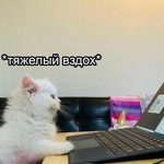 Анастасия М