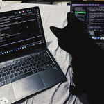 PythonKilla