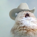 хестан🌞в!🐱{}{:S<C: георгий 💾[{int ,split}^uj🐱