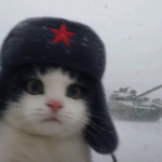 Егор Егор