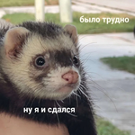 МКир