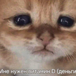 Роман Водяников