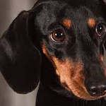 Екатерина ШишоваААААААААААААААААА