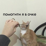 Никита Чамжайкин