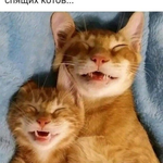 Александр Коврижных