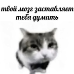 Курбан Карабегов