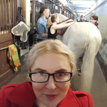 Аватар Инна Борисовна Цыганок — преподаватель курса 🐴 Масти лошадей | Коневодство с нуля
