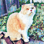 Георгий Родионович Кутателадзе